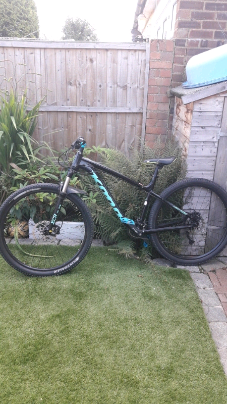 2019 kona lava dome
